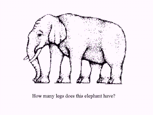 elephant with many legs - elephant with many legs. It has more than normal
