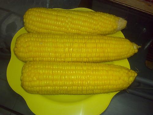 eating food - very sweet corn