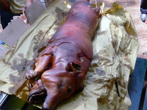 Porky The Pig For Dinner Anyone? - A whole roasted pig...Ewww... 