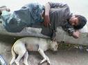 sleep - sound sleep and peaceful dreams