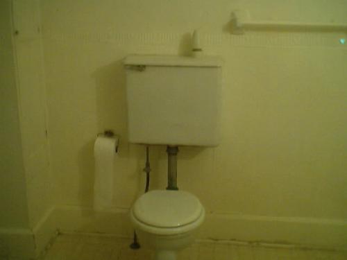 toilet - tank is way above the back of the toilet suspended by a pipe. old ugly toilet? Or do You love the style and grace of those days when nothing seem to be the same?