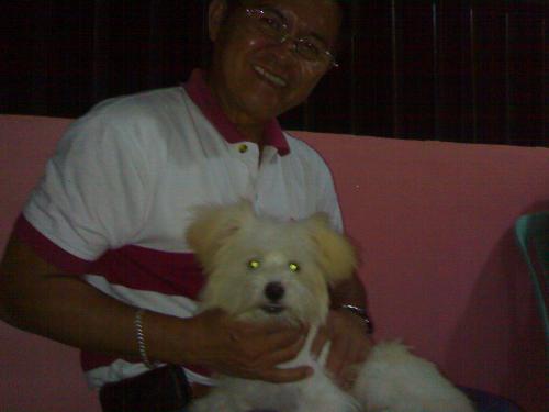 poodee - our new pet with my hubby