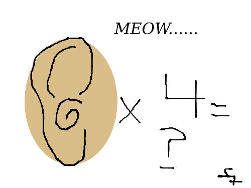 UK Cat has FOUR EARS - They always say, two are better than one...