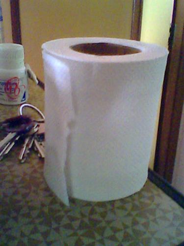 Toilet Paper - this is a toilet paper. it has so many uses. i think i do not need to elaborate them.