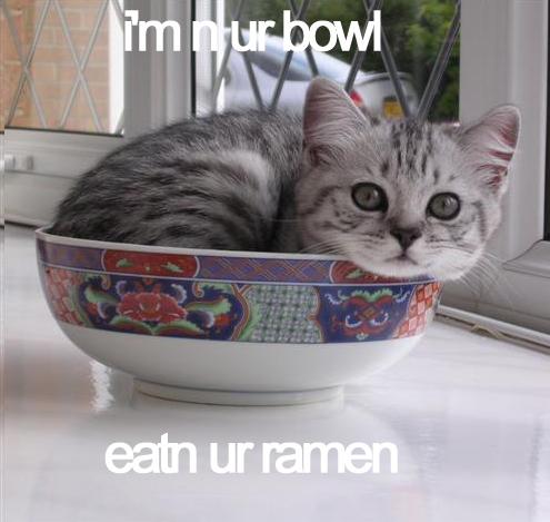 I'm in ur bowl eatin ur ramen - Kitty in bowl