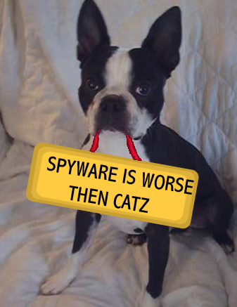 Jordan the SpywareBiz mascot - Cute is not even close to describing this lil guy.