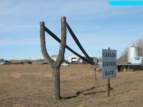 Canadas defense lol - Watch out! Canada strikes back!