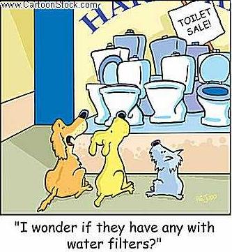 window shopping puppies - Puppies window shopping for toilets
