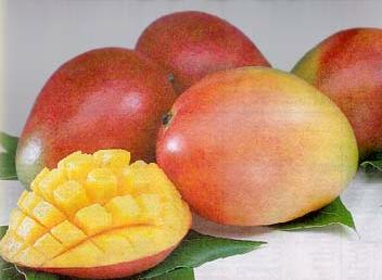 mangos - the only fruit i'm sensitive to.