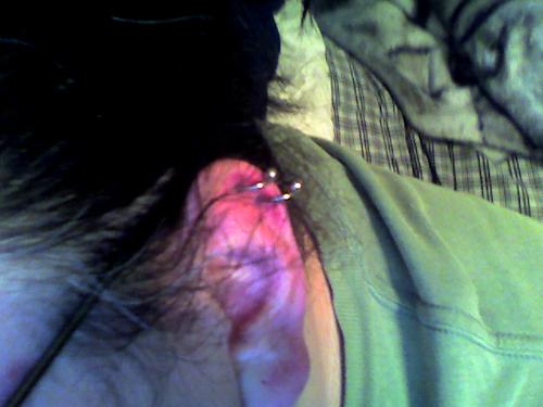 My ear piercings - Two ear piercings that I just got today, shortly after work.