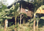 House atop a peaceful hill - A hut atop a hill.