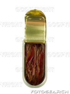 fish - anchovy...