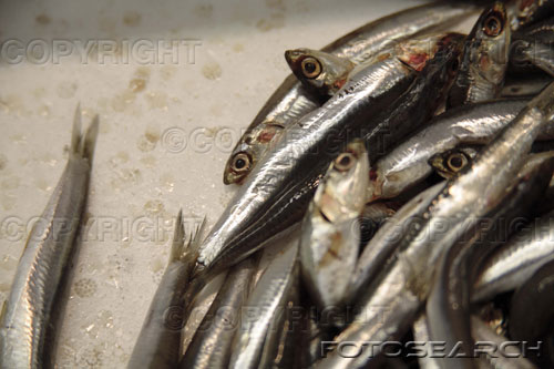 fish - ................