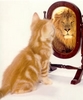 Self Esteem - It shows the self esteem.