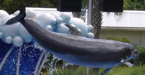 flying dolphin - I took this picture in Orlando summer of 2007.