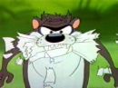 taz - the TAZ