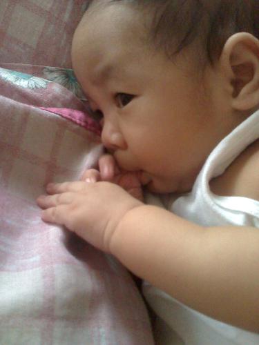 This is Chico while thumbsucking - My baby is 3 months old, he'll turn 4 September ten. His favorite hobby aside from feeding is thumb sucking. This is Chico while thumbsucking - My baby is 3 months old, he'll turn 4 September ten. His favorite hobby aside from feeding is thumb sucking.