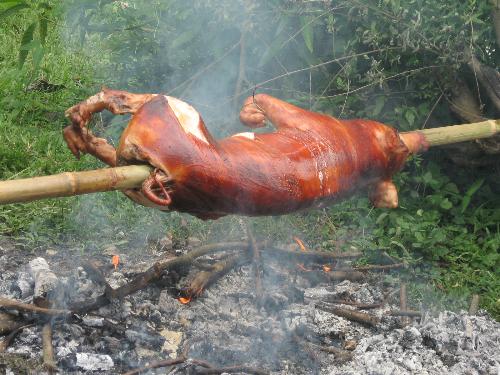 Letchon - Philippines - Roasted pig 'letchon' ...taken at our place in coliling, san carlos city, Panaginan, Philippines