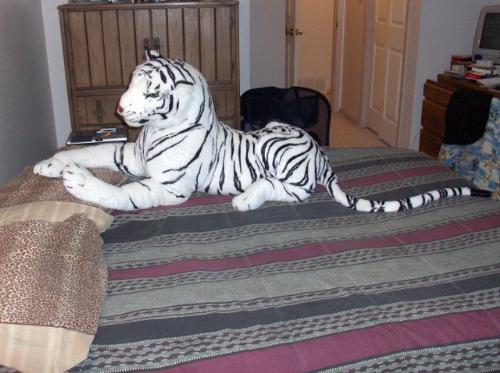 Luigi - My new white tiger doll. I named him Luigi.