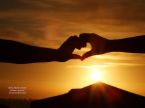 Life - a picture about life, holding hand creating heart shape