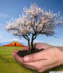 Nature - It's showing nature can affect life in earth.