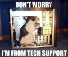Tech Support - This is my job. It's a cat inside a system unit doing a repair on a computer lolz.