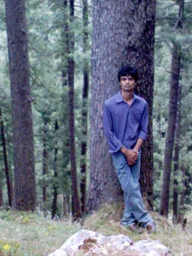 my picture  - this is picture of mine, when i went to tandyani(pakistan) with my class trip..