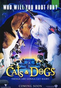 dogs and cats - age old fight of dogs and cats...