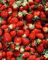 fruit - 100% natural fresh fruits