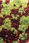 fruit - 100% natural fresh fruits