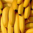 fruit - 100% natural fresh fruits