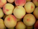 fruit - 100% natural fresh fruits