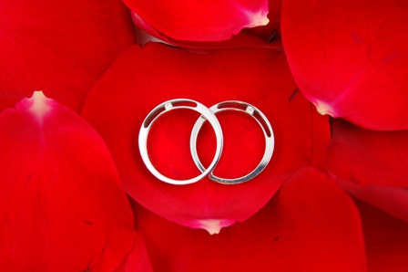 Wedding band - It's a wonder how two tiny wedding bands can bind two lovers together for life.