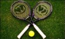 tennis  - tennis racket and tennis ball