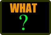 common question - wHAT? DID YOU SAY THAT?