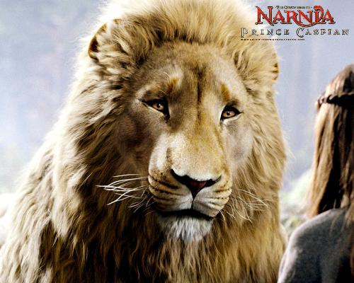 Cronicles of Narnia - Cronicles of Narnia  Prince Caspian