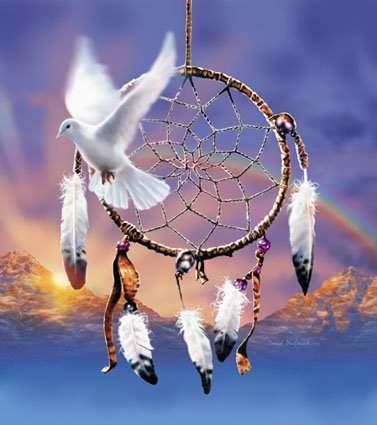 dream catcher - a picture of a dream catcher with a white dove that symbolizes serenity