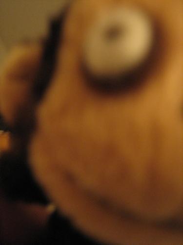 Monkey see, monkey don't. - What it would look like if my monkey toys with the webcam