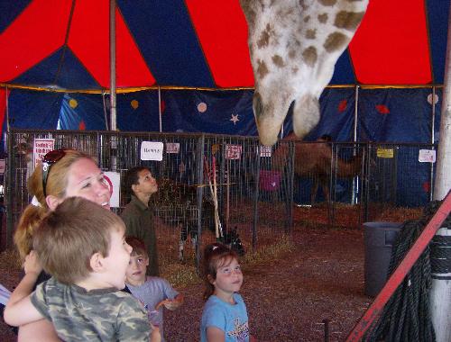 Petting Zoo - Here is me holding my toddler, he was feeding the giraffe. My older 3 kids are in the background.