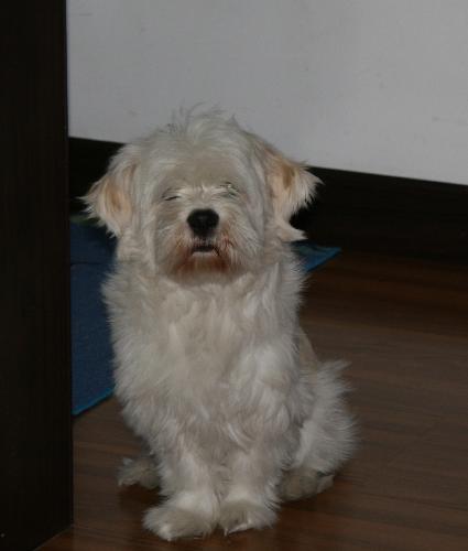 facing yah... - isn't he a cutie? he only shows that he loves a camera, just by the way he looks at it LOL