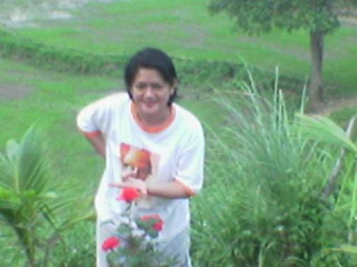 my roses in the farm. - this is me tending my roses in the farm. I have a hut nearby.I miss it since this is now a 2 hour plane ride away