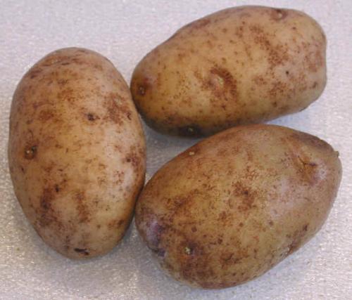 potatoes  - potatoes pic