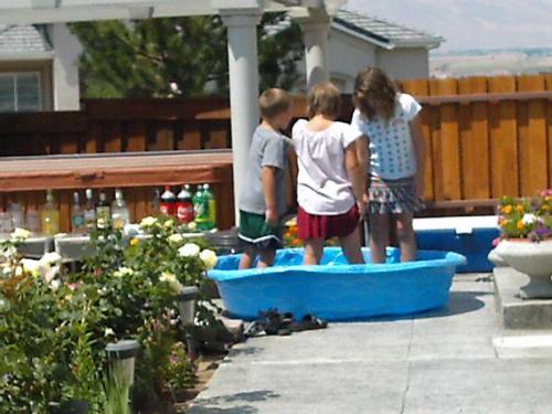 The highlight of summer - playing in the wading po - The highlight of summer - playing in the wading pool to cool off