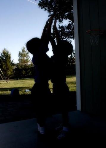 I love this picture of my children giving eachothe - I love this picture of my children giving eachother high fives. Boys will be boys!