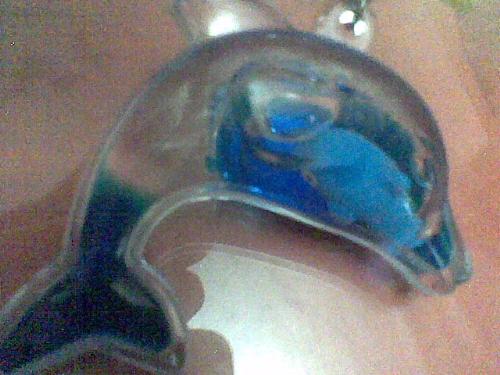 dolphin - my key chain!! isn't that cute????