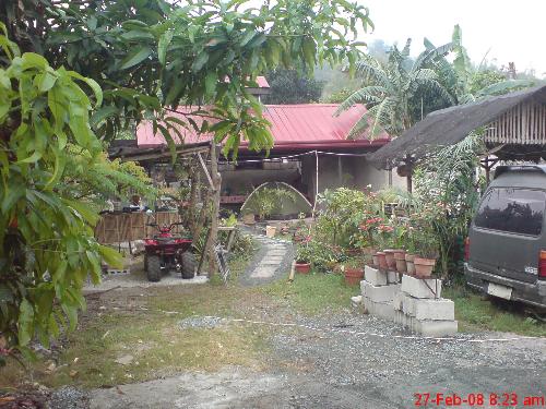 house kubo - our house kubo...