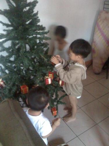 kids and christmas tree - Christmas tree is one of the most important thing to have when Christmas came, I just can not imagine Christmas without Christmas tree. We usually decorate ours with lights and balls and ribbons too. WE put an angel on top of it too.This are the kids, last year they help us making the Christmas tree!