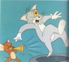 Tom & Jerry - Tom & Jerry, Cartoon Network, Kids favorite show