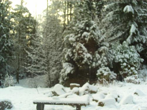 Winter Wonder Land - A Winter Wonder Land