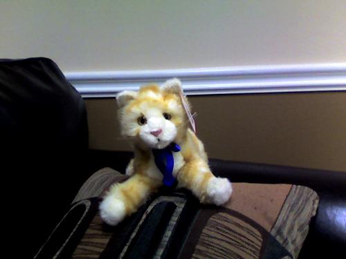 Riley - A stuffed cat that I found at work. I have adopted him as my own. ;D